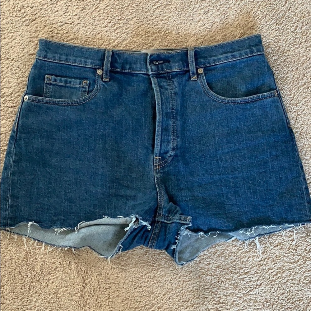 Everlane Cheeky Denim short